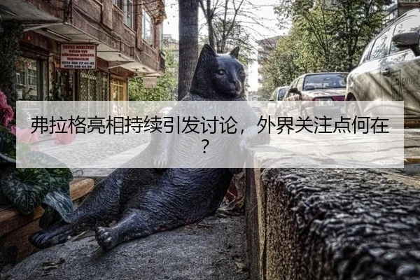 弗拉格亮相持续引发讨论，外界关注点何在？ | kaiyun
